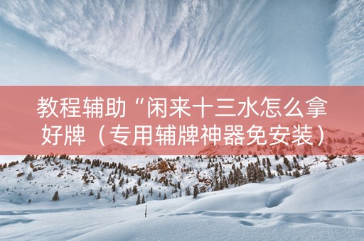 教程辅助“闲来十三水怎么拿好牌（专用辅牌神器免安装）