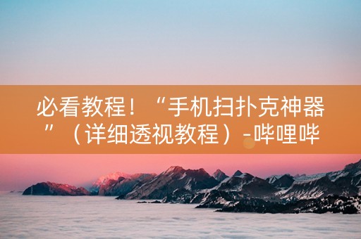 必看教程！“手机扫扑克神器”（详细透视教程）-哔哩哔哩