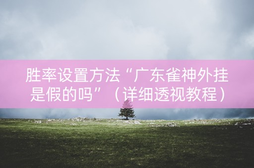 胜率设置方法“广东雀神外挂是假的吗”（详细透视教程）-哔哩哔哩