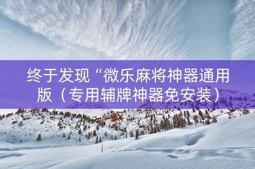 终于发现“微乐麻将神器通用版（专用辅牌神器免安装）