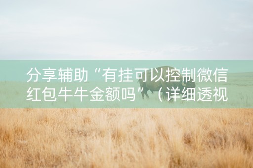 分享辅助“有挂可以控制微信红包牛牛金额吗”（详细透视教程）-哔哩哔哩