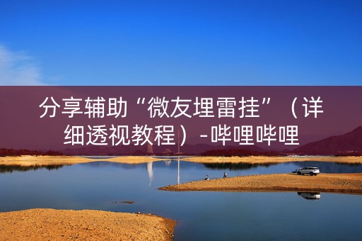 分享辅助“微友埋雷挂”（详细透视教程）-哔哩哔哩