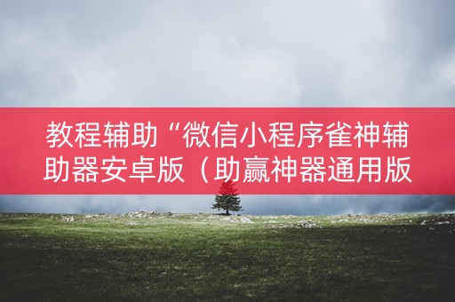 教程辅助“微信小程序雀神辅助器安卓版（助赢神器通用版）