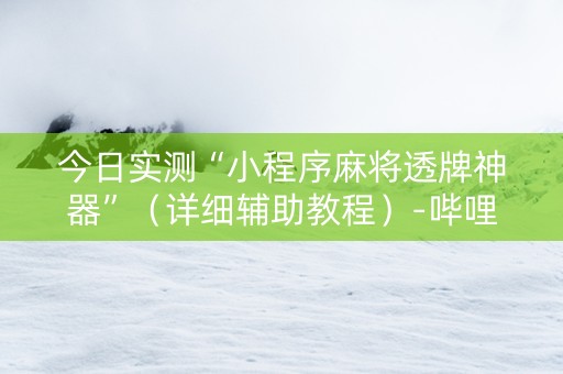 今日实测“小程序麻将透牌神器”（详细辅助教程）-哔哩哔哩