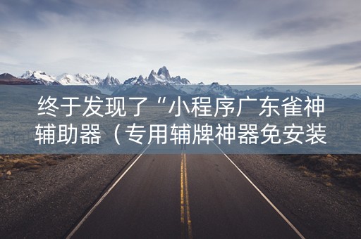 终于发现了“小程序广东雀神辅助器（专用辅牌神器免安装）