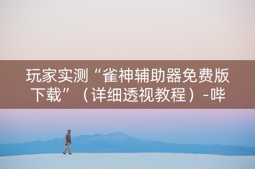玩家实测“雀神辅助器免费版下载”（详细透视教程）-哔哩哔哩