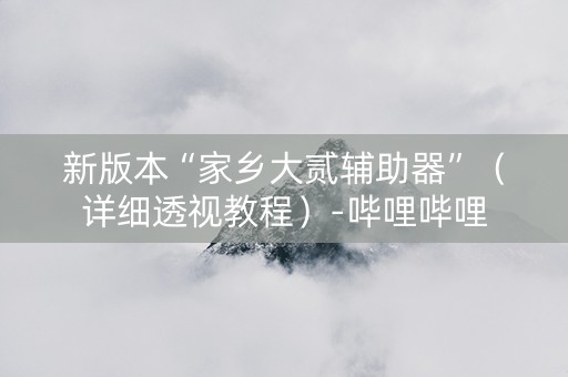 新版本“家乡大贰辅助器”（详细透视教程）-哔哩哔哩