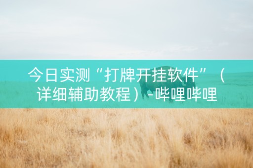 今日实测“打牌开挂软件”（详细辅助教程）-哔哩哔哩