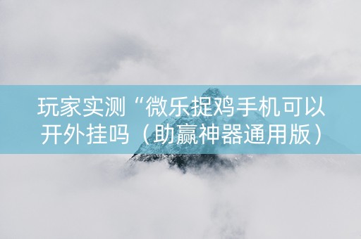 玩家实测“微乐捉鸡手机可以开外挂吗（助赢神器通用版）