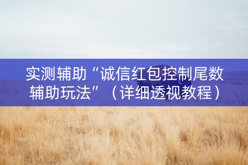 实测辅助“诚信红包控制尾数辅助玩法”（详细透视教程）-哔哩哔哩