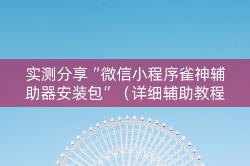 实测分享“微信小程序雀神辅助器安装包”（详细辅助教程）-哔哩哔哩