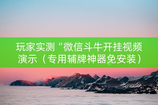 玩家实测“微信斗牛开挂视频演示（专用辅牌神器免安装）