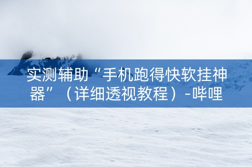 实测辅助“手机跑得快软挂神器”（详细透视教程）-哔哩哔哩