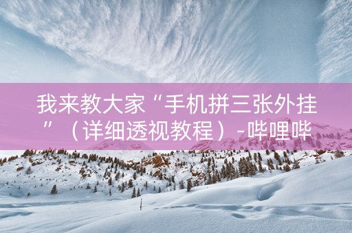 我来教大家“手机拼三张外挂”（详细透视教程）-哔哩哔哩