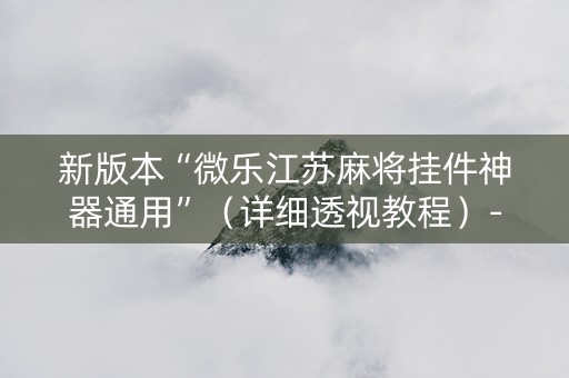 新版本“微乐江苏麻将挂件神器通用”（详细透视教程）-哔哩哔哩