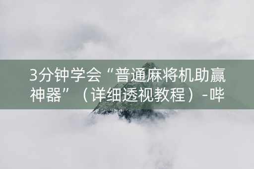 3分钟学会“普通麻将机助赢神器”（详细透视教程）-哔哩哔哩
