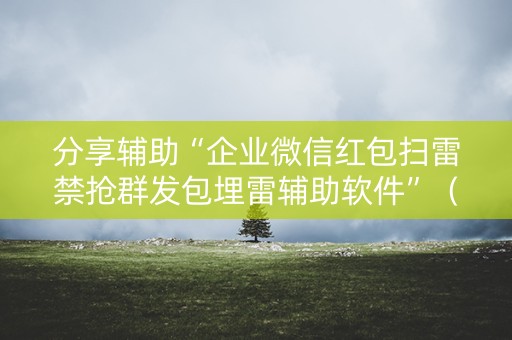 分享辅助“企业微信红包扫雷禁抢群发包埋雷辅助软件”（详细透视教程）-哔哩哔哩