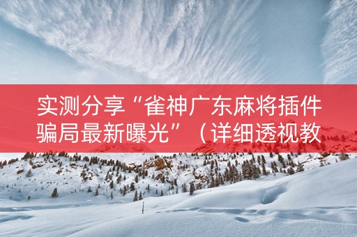 实测分享“雀神广东麻将插件骗局最新曝光”（详细透视教程）-哔哩哔哩