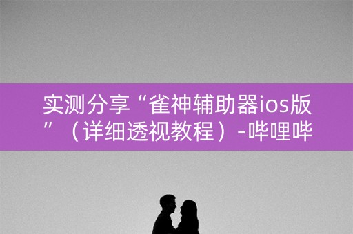 实测分享“雀神辅助器ios版”（详细透视教程）-哔哩哔哩