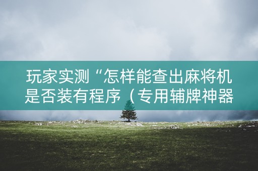玩家实测“怎样能查出麻将机是否装有程序（专用辅牌神器免安装）
