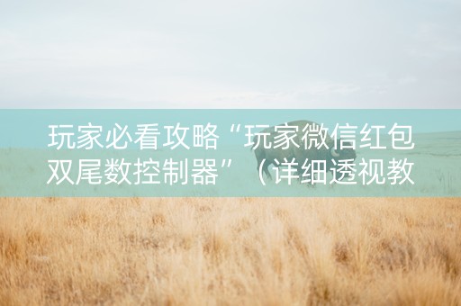 玩家必看攻略“玩家微信红包双尾数控制器”（详细透视教程）-哔哩哔哩