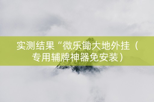 实测结果“微乐锄大地外挂（专用辅牌神器免安装）