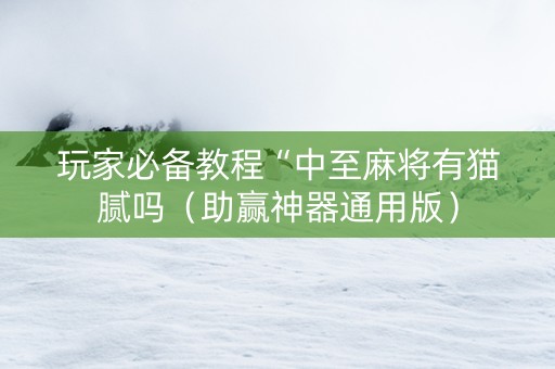 玩家必备教程“中至麻将有猫腻吗（助赢神器通用版）