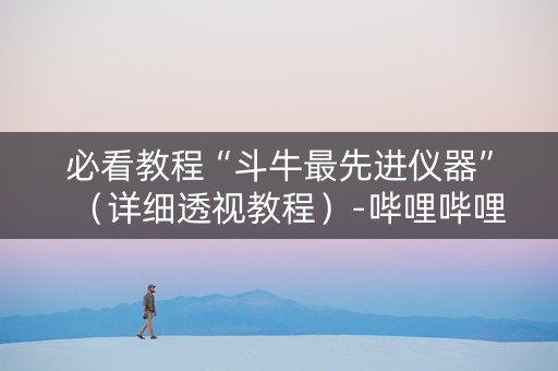 必看教程“斗牛最先进仪器”（详细透视教程）-哔哩哔哩