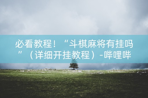 必看教程！“斗棋麻将有挂吗”（详细开挂教程）-哔哩哔哩
