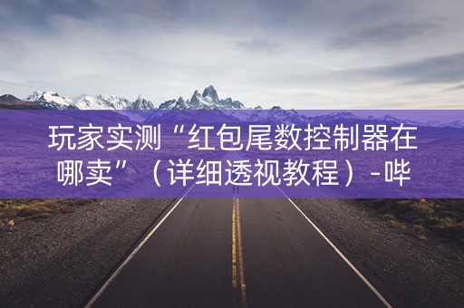 玩家实测“红包尾数控制器在哪卖”（详细透视教程）-哔哩哔哩