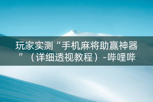 玩家实测“手机麻将助赢神器”（详细透视教程）-哔哩哔哩