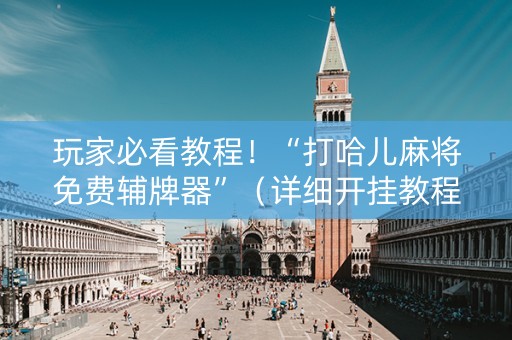 玩家必看教程！“打哈儿麻将免费辅牌器”（详细开挂教程）-哔哩哔哩