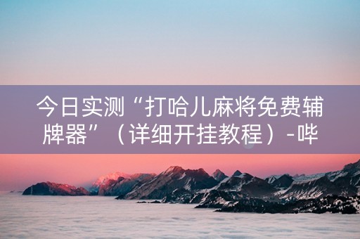 今日实测“打哈儿麻将免费辅牌器”（详细开挂教程）-哔哩哔哩