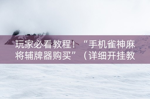 玩家必看教程！“手机雀神麻将辅牌器购买”（详细开挂教程）-哔哩哔哩