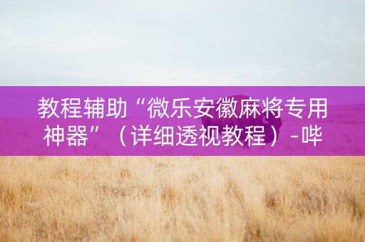 教程辅助“微乐安徽麻将专用神器”（详细透视教程）-哔哩哔哩