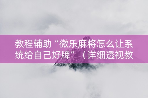 教程辅助“微乐麻将怎么让系统给自己好牌”（详细透视教程）-哔哩哔哩