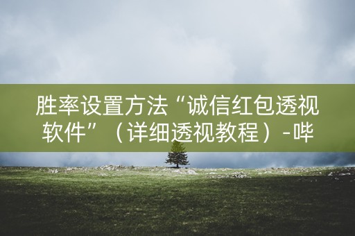 胜率设置方法“诚信红包透视软件”（详细透视教程）-哔哩哔哩
