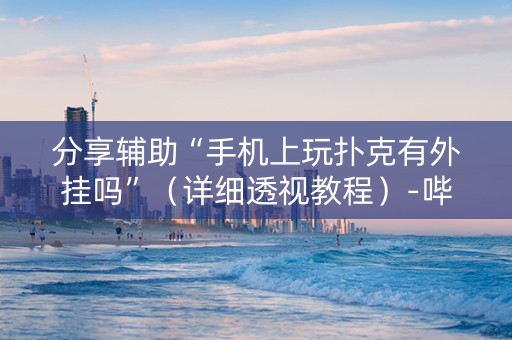 分享辅助“手机上玩扑克有外挂吗”（详细透视教程）-哔哩哔哩