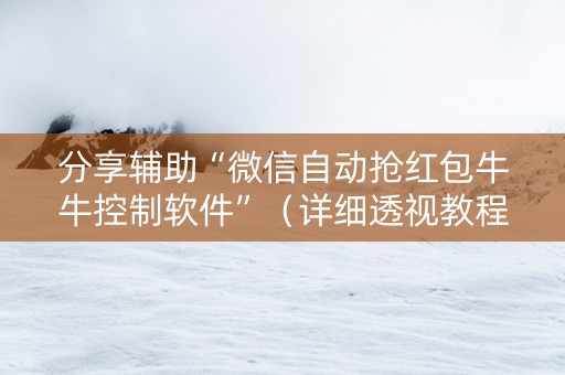 分享辅助“微信自动抢红包牛牛控制软件”（详细透视教程）-哔哩哔哩