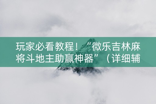 玩家必看教程！“微乐吉林麻将斗地主助赢神器”（详细辅助教程）-哔哩哔哩