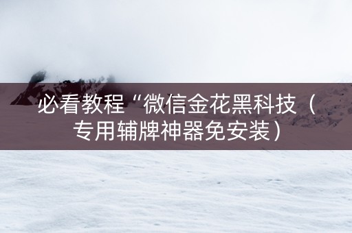 必看教程“微信金花黑科技（专用辅牌神器免安装）
