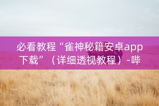 必看教程“雀神秘籍安卓app下载”（详细透视教程）-哔哩哔哩