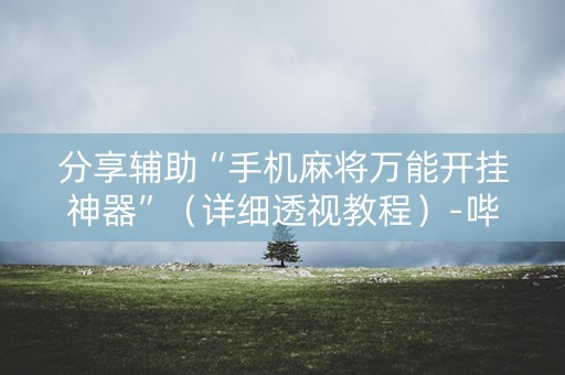 分享辅助“手机麻将万能开挂神器”（详细透视教程）-哔哩哔哩
