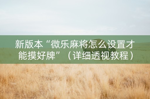 新版本“微乐麻将怎么设置才能摸好牌”（详细透视教程）-哔哩哔哩