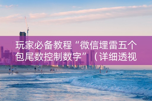 玩家必备教程“微信埋雷五个包尾数控制数字”（详细透视教程）-哔哩哔哩