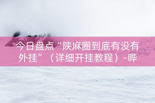 今日盘点“陕麻圈到底有没有外挂”（详细开挂教程）-哔哩哔哩
