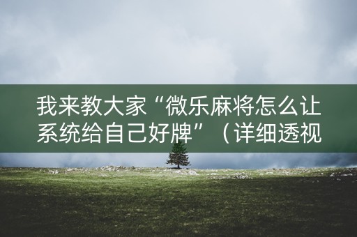我来教大家“微乐麻将怎么让系统给自己好牌”（详细透视教程）-哔哩哔哩