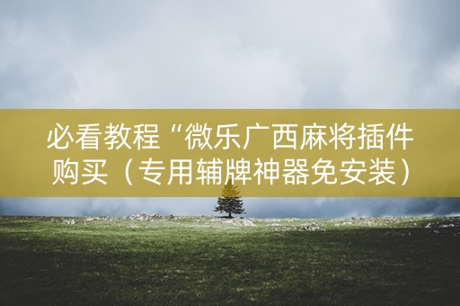 必看教程“微乐广西麻将插件购买（专用辅牌神器免安装）