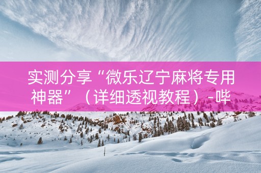 实测分享“微乐辽宁麻将专用神器”（详细透视教程）-哔哩哔哩