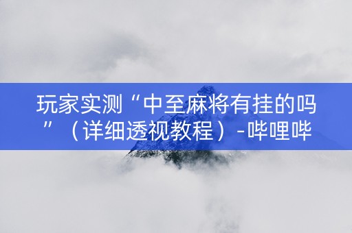玩家实测“中至麻将有挂的吗”（详细透视教程）-哔哩哔哩